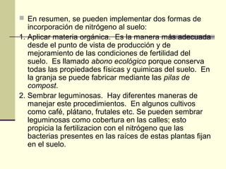  En resumen, se pueden implementar dos formas de
incorporación de nitrógeno al suelo:
1. Aplicar materia orgánica. Es la manera más adecuada
desde el punto de vista de producción y de
mejoramiento de las condiciones de fertilidad del
suelo. Es llamado abono ecológico porque conserva
todas las propiedades físicas y quimicas del suelo. En
la granja se puede fabricar mediante las pilas de
compost.
2. Sembrar leguminosas. Hay diferentes maneras de
manejar este procedimientos. En algunos cultivos
como café, plátano, frutales etc. Se pueden sembrar
leguminosas como cobertura en las calles; esto
propicia la fertilizacion con el nitrógeno que las
bacterias presentes en las raíces de estas plantas fijan
en el suelo.
 
