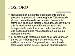 FOSFORO
 Requerido por las plantas especialmente para el
proceso de producción de energía, el fósforo ayuda
al buen crecimiento de las mismas; favorece la
formación de raíces fuertes y abundantes; contribuye
a la formación y maduración de las frutas, es
indispensable en la formación de las semillas. Es
uno de los nutrientes más escasos en los suelos
latinoamericanos.
 El contenido de fosforo se mide en el laboratorio en
partes por millón (ppm), y así se registra en los
análisis de suelos. En general, un contenido de
fósforo por debajo de 40,0 ppm se considera bajo.
 