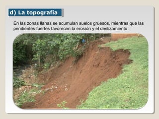 d) La topografíad) La topografía
En las zonas llanas se acumulan suelos gruesos, mientras que las
pendientes fuertes favorecen la erosión y el deslizamiento.
 