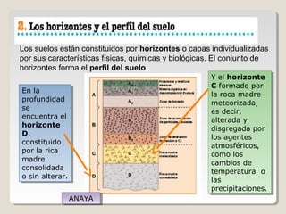 Los suelos están constituidos por horizontes o capas individualizadas
por sus características físicas, químicas y biológicas. El conjunto de
horizontes forma el perfil del suelo.
En la
profundidad
se
encuentra el
horizonte
D,
constituido
por la rica
madre
consolidada
o sin alterar.
En la
profundidad
se
encuentra el
horizonte
D,
constituido
por la rica
madre
consolidada
o sin alterar.
Y el horizonte
C formado por
la roca madre
meteorizada,
es decir,
alterada y
disgregada por
los agentes
atmosféricos,
como los
cambios de
temperatura o
las
precipitaciones.
Y el horizonte
C formado por
la roca madre
meteorizada,
es decir,
alterada y
disgregada por
los agentes
atmosféricos,
como los
cambios de
temperatura o
las
precipitaciones.
ANAYAANAYA
 