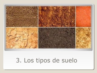 3. Los tipos de suelo
 