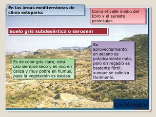 Como el valle medio del
Ebro y el sureste
peninsular.
Como el valle medio del
Ebro y el sureste
peninsular.
Suelo gris subdesértico o serosemSuelo gris subdesértico o serosem
Es de color gris claro, está
casi siempre seco y es rico en
caliza y muy pobre en humus,
pues la vegetación es escasa.
Es de color gris claro, está
casi siempre seco y es rico en
caliza y muy pobre en humus,
pues la vegetación es escasa.
Su
aprovechamiento
en secano es
prácticamente nulo,
pero en regadío es
bastante fértil,
aunque se saliniza
fácilmente.
Su
aprovechamiento
en secano es
prácticamente nulo,
pero en regadío es
bastante fértil,
aunque se saliniza
fácilmente.
En las áreas mediterráneas de
clima estepario:
En las áreas mediterráneas de
clima estepario:
 