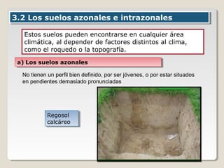 3.2 Los suelos azonales e intrazonales3.2 Los suelos azonales e intrazonales
Estos suelos pueden encontrarse en cualquier área
climática, al depender de factores distintos al clima,
como el roquedo o la topografía.
a) Los suelos azonalesa) Los suelos azonales
No tienen un perfil bien definido, por ser jóvenes, o por estar situados
en pendientes demasiado pronunciadas
Regosol
calcáreo
Regosol
calcáreo
 