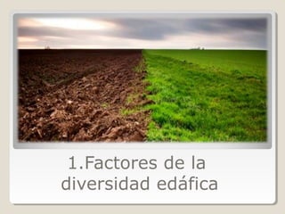1.Factores de la
diversidad edáfica
 