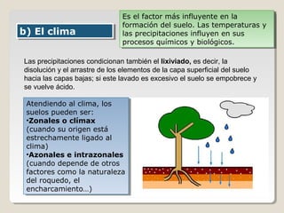 b) El climab) El clima
Es el factor más influyente en la
formación del suelo. Las temperaturas y
las precipitaciones influyen en sus
procesos químicos y biológicos.
Es el factor más influyente en la
formación del suelo. Las temperaturas y
las precipitaciones influyen en sus
procesos químicos y biológicos.
Las precipitaciones condicionan también el lixiviado, es decir, la
disolución y el arrastre de los elementos de la capa superficial del suelo
hacia las capas bajas; si este lavado es excesivo el suelo se empobrece y
se vuelve ácido.
Atendiendo al clima, los
suelos pueden ser:
•Zonales o clímax
(cuando su origen está
estrechamente ligado al
clima)
•Azonales e intrazonales
(cuando depende de otros
factores como la naturaleza
del roquedo, el
encharcamiento…)
Atendiendo al clima, los
suelos pueden ser:
•Zonales o clímax
(cuando su origen está
estrechamente ligado al
clima)
•Azonales e intrazonales
(cuando depende de otros
factores como la naturaleza
del roquedo, el
encharcamiento…)
 