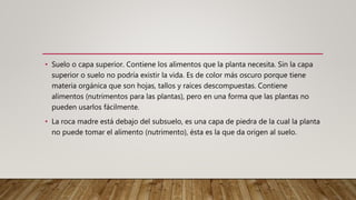 • Suelo o capa superior. Contiene los alimentos que la planta necesita. Sin la capa
superior o suelo no podría existir la vida. Es de color más oscuro porque tiene
materia orgánica que son hojas, tallos y raíces descompuestas. Contiene
alimentos (nutrimentos para las plantas), pero en una forma que las plantas no
pueden usarlos fácilmente.
• La roca madre está debajo del subsuelo, es una capa de piedra de la cual la planta
no puede tomar el alimento (nutrimento), ésta es la que da origen al suelo.
 