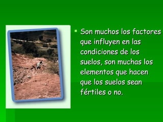 Son muchos los factores que influyen en las condiciones de los suelos, son muchas los elementos que hacen que los suelos sean fértiles o no.   