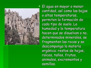 El agua en mayor o menor cantidad, así como las bajas o altas temperaturas, permiten la formación de cada tipo de suelo. La humedad y la temperatura hacen que se disuelvan o no, determinados minerales, se fragmenten las rocas y se descomponga la materia orgánica: restos de hojas, raíces, tallos, frutos, animales, excrementos y semillas.  