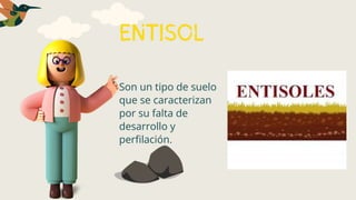 ENTISOL
Son un tipo de suelo
que se caracterizan
por su falta de
desarrollo y
perfilación.
 