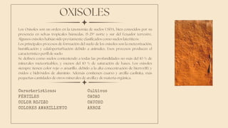Los Oxisoles son un orden en la taxonomía de suelos USDA, bien conocidos por su
presencia en selvas tropicales húmedas, 15-25º norte y sur del Ecuador terrestre.
Algunos oxisoles habían sido previamente clasificados como suelos lateríticos.
Los principales procesos de formación del suelo de los oxisoles son la meteorización,
humificación y edafoperturbación debido a animales. Esos procesos producen el
característico perfil de suelo.
Se definen como suelos conteniendo a todas las profundidades no más del 10 % de
minerales meteorizables, y menos del 10 % de saturación de bases. Los oxisoles
siempre tienen color rojo o amarillo, debido a la alta concentración de hierro(III) y
óxidos e hidróxidos de aluminio. Además contienen cuarzo y arcilla caolinita, más
pequeñas cantidades de otros minerales de arcilla y de materia orgánica.
OXISOLES
Caracteristicas:
FÉRTILES
COLOR ROJIZO
COLORES AMARILLENTO
Cultivos
CACAO
CAUCHO
ARROZ
 