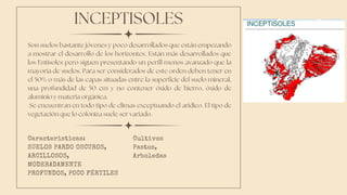 INCEPTISOLES
Son suelos bastante jóvenes y poco desarrollados que están empezando
a mostrar el desarrollo de los horizontes. Están más desarrollados que
los Entisoles pero siguen presentando un perfil menos avanzado que la
mayoría de suelos. Para ser considerados de este orden deben tener en
el 50% o más de las capas situadas entre la superficie del suelo mineral,
una profundidad de 50 cm y no contener óxido de hierro, óxido de
aluminio y materia orgánica.
Se encuentran en todo tipo de climas exceptuando el arídico. El tipo de
vegetación que lo coloniza suele ser variado.
Caracteristicas:
SUELOS PARDO OSCUROS,
ARCILLOSOS,
MODERADAMENTE
PROFUNDOS, POCO FÉRTILES
Cultivos
Pastos,
Arboledas
 