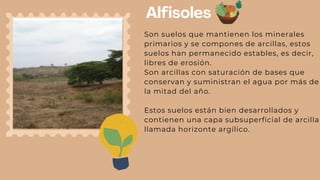 Alfisoles
Son suelos que mantienen los minerales
primarios y se compones de arcillas, estos
suelos han permanecido estables, es decir,
libres de erosión.
Son arcillas con saturación de bases que
conservan y suministran el agua por más de
la mitad del año.
Estos suelos están bien desarrollados y
contienen una capa subsuperficial de arcilla
llamada horizonte argílico.
 