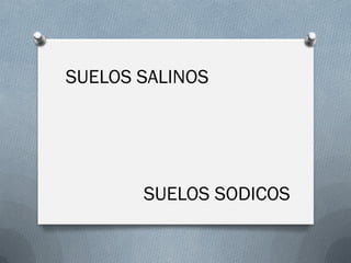 SUELOS SALINOS
SUELOS SODICOS
 