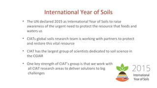 International Year of Soils
• The UN declared 2015 as International Year of Soils to raise
awareness of the urgent need to...