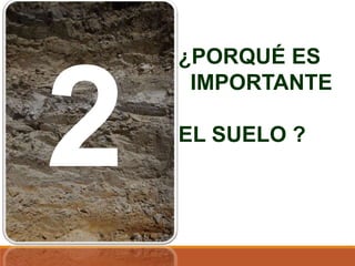 ¿PORQUÉ ES
IMPORTANTE
EL SUELO ?
 