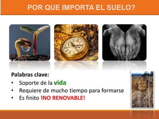 Palabras clave:
• Soporte de la vida
• Requiere de mucho tiempo para formarse
• Es finito !NO RENOVABLE!
POR QUE IMPORTA EL SUELO?
 