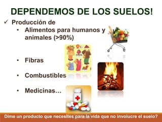 DEPENDEMOS DE LOS SUELOS!
 Producción de
• Alimentos para humanos y
animales (>90%)
• Fibras
• Combustibles
• Medicinas…
Dime un producto que necesites para la vida que no involucre el suelo?
 