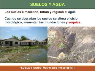 Los suelos almacenan, filtran y regulan el agua
Cuando se degradan los suelos se altera el ciclo
hidrológico, aumentan las inundaciones y sequías.
“SUELO Y AGUA” Matrimonio indisoluble!!!!
SUELOS Y AGUA
 
