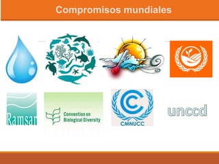 Compromisos mundiales
 
