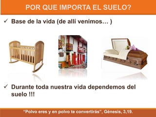 POR QUE IMPORTA EL SUELO?
 Base de la vida (de allí venimos… )
 Durante toda nuestra vida dependemos del
suelo !!!
“Polvo eres y en polvo te convertirás”, Génesis, 3,19.
 