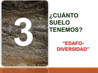 ¿CUÁNTO
SUELO
TENEMOS?
“EDAFO-
DIVERSIDAD”
 