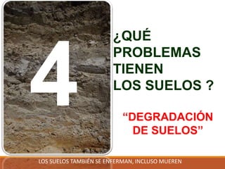 ¿QUÉ
PROBLEMAS
TIENEN
LOS SUELOS ?
“DEGRADACIÓN
DE SUELOS”
LOS SUELOS TAMBIÉN SE ENFERMAN, INCLUSO MUEREN
 