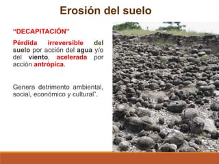 Erosión del suelo
“DECAPITACIÓN”
Pérdida irreversible del
suelo por acción del agua y/o
del viento, acelerada por
acción antrópica.
Genera detrimento ambiental,
social, económico y cultural”.
 