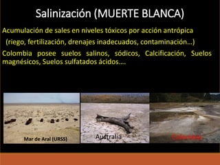 Salinización (MUERTE BLANCA)
Acumulación de sales en niveles tóxicos por acción antrópica
(riego, fertilización, drenajes inadecuados, contaminación…)
Colombia posee suelos salinos, sódicos, Calcificación, Suelos
magnésicos, Suelos sulfatados ácidos….
ColombiaMar de Aral (URSS) Australia
 