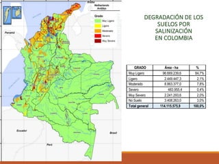 DEGRADACIÓN DE LOS
SUELOS POR
SALINIZACIÓN
EN COLOMBIA
GRADO Área - ha %
Muy Ligero 96.669.239,6 84,7%
Ligero 2.449.447,3 2,1%
Moderado 8.863.377,0 7,8%
Severo 483.955,4 0,4%
Muy Severo 2.241.293,6 2,0%
No Suelo 3.408.263,0 3,0%
Total general 114.115.575,9 100,0%
 