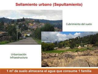 Cubrimiento del suelo
Sellamiento urbano (Sepultamiento)
Urbanización
Infraestructura
1 m2 de suelo almacena el agua que consume 1 familia
 