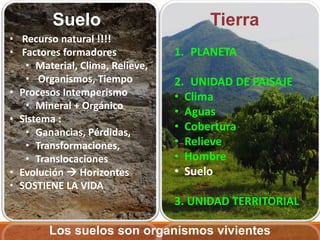 Tierra
1. PLANETA
2. UNIDAD DE PAISAJE
• Clima
• Aguas
• Cobertura
• Relieve
• Hombre
• Suelo
3. UNIDAD TERRITORIAL
Suelo
• Recurso natural !!!!
• Factores formadores
• Material, Clima, Relieve,
• Organismos, Tiempo
• Procesos Intemperismo
• Mineral + Orgánico
• Sistema :
• Ganancias, Pérdidas,
• Transformaciones,
• Translocaciones
• Evolución  Horizontes
• SOSTIENE LA VIDA
Los suelos son organismos vivientes
 