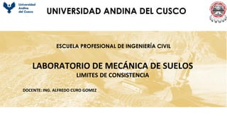 UNIVERSIDAD ANDINA DEL CUSCO
LABORATORIO DE MECÁNICA DE SUELOS
LIMITES DE CONSISTENCIA
DOCENTE: ING. ALFREDO CURO GOMEZ
ESCUELA PROFESIONAL DE INGENIERÍA CIVIL
 