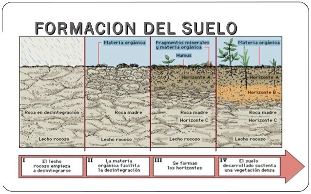 Suelos