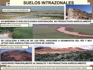 SUELOS DE ESPAÑA | PPT