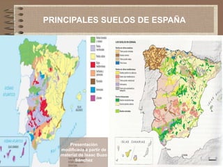 PRINCIPALES SUELOS DE ESPAÑA
Presentación
modificada a partir de
material de Isaac Buzo
Sánchez
 