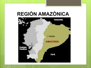 Suelos de las regiones naturales del ecuador | PPTX