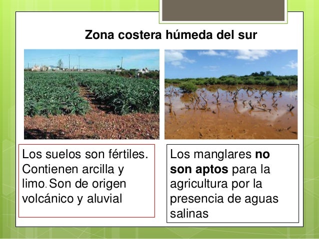 Suelos De Las Regiones Naturales Del Ecuador