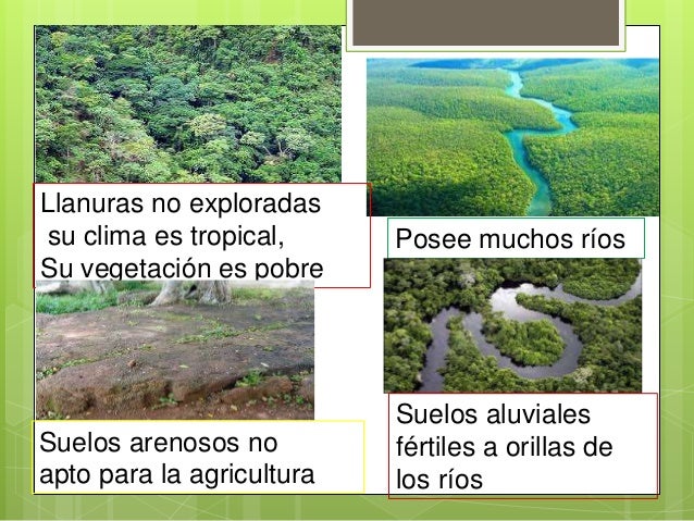 Suelos De Las Regiones Naturales Del Ecuador