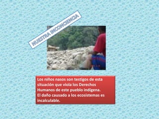 Los niños nasos son testigos de esta
situación que viola los Derechos
Humanos de este pueblo indígena.
El daño causado a los ecosistemas es
incalculable.
 