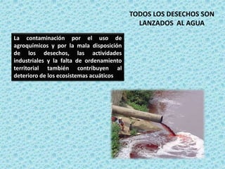 La contaminación por el uso de
agroquímicos y por la mala disposición
de los desechos, las actividades
industriales y la falta de ordenamiento
territorial también contribuyen al
deterioro de los ecosistemas acuáticos
TODOS LOS DESECHOS SON
LANZADOS AL AGUA
 