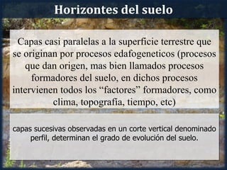 Horizontes del suelo

 Capas casi paralelas a la superficie terrestre que
se originan por procesos edafogeneticos (procesos
   que dan origen, mas bien llamados procesos
     formadores del suelo, en dichos procesos
intervienen todos los “factores” formadores, como
          clima, topografía, tiempo, etc)

capas sucesivas observadas en un corte vertical denominado
     perfil, determinan el grado de evolución del suelo.
 