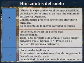 Horizontes del suelo
     Abarca la capa arable, es el de mayor actividad
    biológica y por lo tanto el de mas alto contenido
    de Materia Orgánica.
A
    Generalmente presenta estructura granular o
    migajosa.
    Es el asiento de la mayor cantidad de raíces.

     Se lo encuentra en los suelos mas
    evolucionados.
B   Tiene alto porcentaje de arcilla, y posee menor
    aireación que el horizonte A. Presencia de
    barnices (Superficies brillantes)

     Roca madre inalterada.
    En nuestra zona existe una abundante presencia
C   de carbonatos de calcio.
    La actividad biológica en este horizonte es nula.-
 