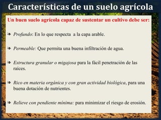Características de un suelo agrícola
Un buen suelo agrícola capaz de sustentar un cultivo debe ser:

l Profundo: En lo que respecta a la capa arable.

l Permeable: Que permita una buena infiltración de agua.

l Estructura granular o migajosa para la fácil penetración de las
  raíces.

l Rico en materia orgánica y con gran actividad biológica, para una
  buena dotación de nutrientes.

l Relieve con pendiente mínima: para minimizar el riesgo de erosión.
 
