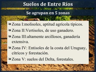 Suelos de Entre Ríos
          Se agrupan en 5 zonas

l Zona I:molisoles, aptitud agrícola típicos.
l Zona II:Vertisoles, de uso ganadero.
l Zona III:altamente arcillosos, ganadería
  extensiva.
l Zona IV: Entisoles de la costa del Uruguay,
  cítricos y forestación.
l Zona V: suelos del Delta, forestales.
 