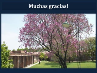 Muchas gracias!
 
