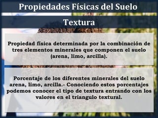 Propiedades Físicas del Suelo
                    Textura

Propiedad física determinada por la combinación de
 tres elementos minerales que componen el suelo
                (arena, limo, arcilla).



  Porcentaje de los diferentes minerales del suelo
 arena, limo, arcilla.- Conociendo estos porcentajes
podemos conocer el tipo de textura entrando con los
           valores en el triangulo textural.
 
