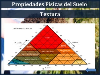 Propiedades Físicas del Suelo
          Textura
 