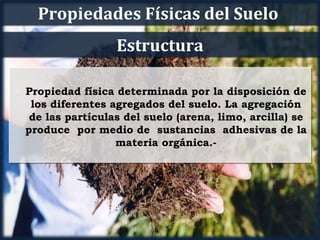 Propiedades Físicas del Suelo
                   Estructura

l Propiedad física determinada por la disposición de
   los diferentes agregados del suelo. La agregación
   de las partículas del suelo (arena, limo, arcilla) se
  produce por medio de sustancias adhesivas de la
                   materia orgánica.-
 