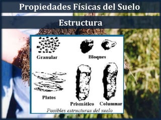 Propiedades Físicas del Suelo
         Estructura
 