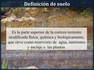 Definición de suelo




  Es la parte superior de la corteza terrestre
modificada física, química y biológicamente,
que sirve como reservorio de agua, nutrientes
            y anclaje a las plantas.
 